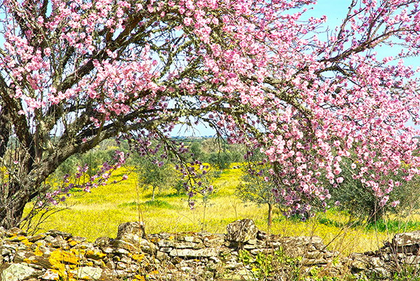 Lente in Portugal