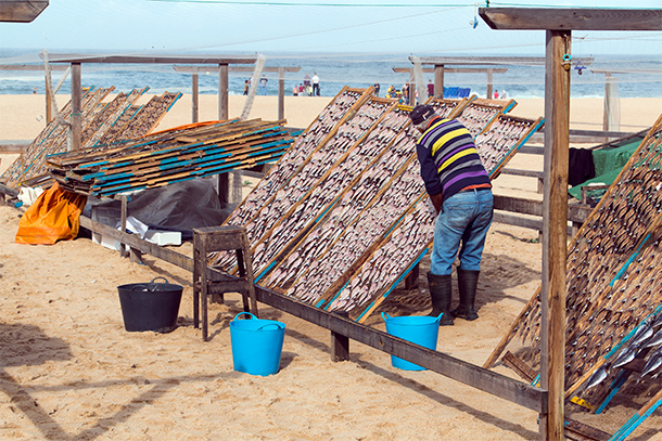 Vis drogen op het strand van Nazaré