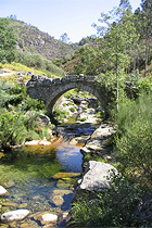 Noord Portugal, natuurgebied Serra da Cabreira