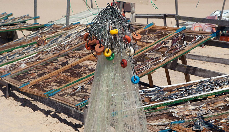 Vis drogen op het strand van Nazaré