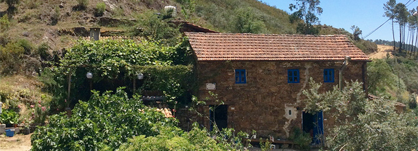 Quinta da Fonte, B&B en agroturismo