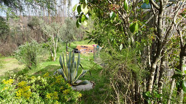 Yogaplatform in de natuur