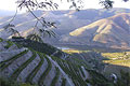 Douro vallei, Noord-Portugal