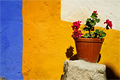 Dagtrips naar Óbidos
