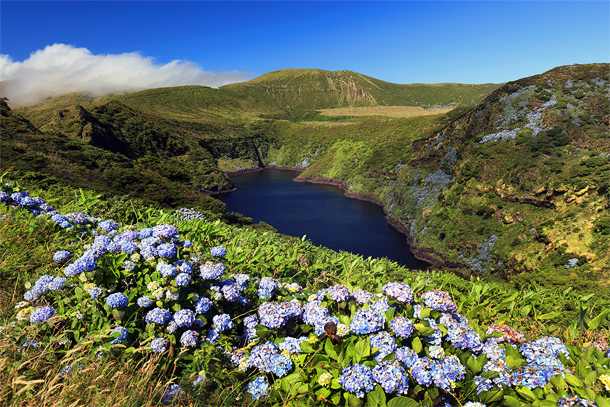 Natuur op de Azoren