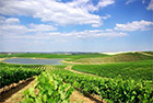 Rondreis Lissabon, Alentejo, Porto en Costa de Lisboa