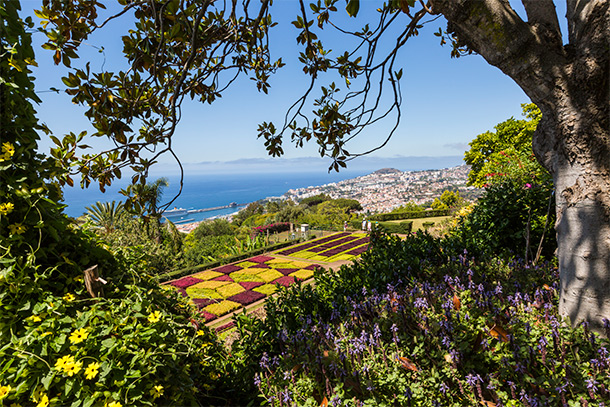 Jardim Botânico da Madeira in Funchal