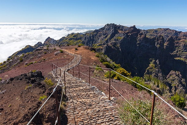 Wandelpad naar Pico Ruivo, het hoogste punt van Madeira