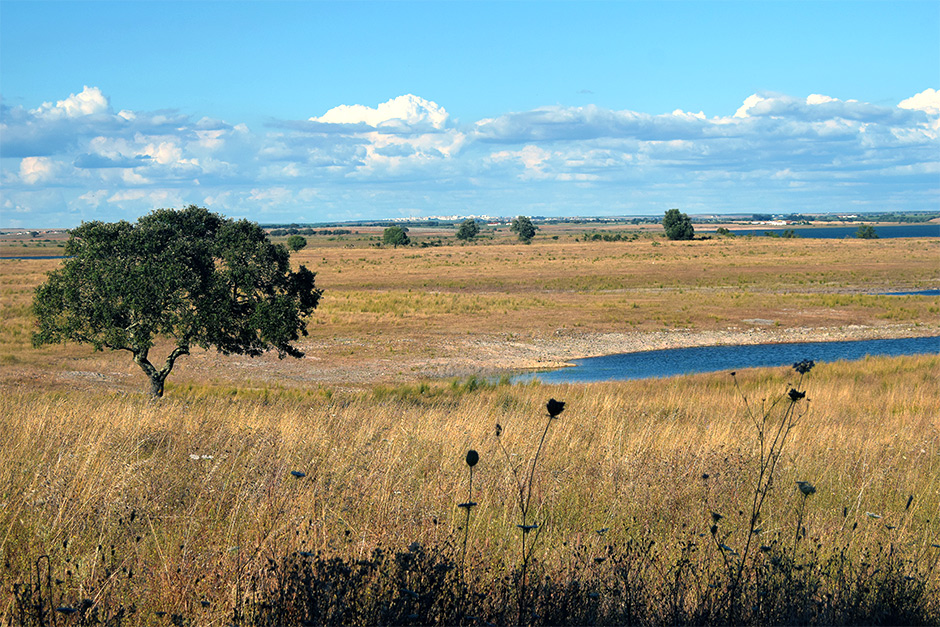 Alentejo, uitgestrekte velden