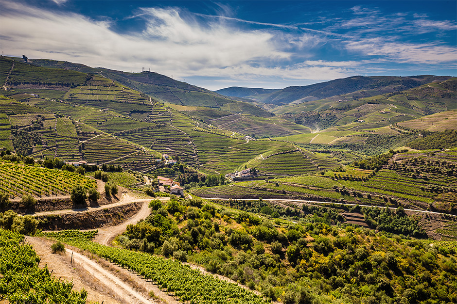 De Douro vallei