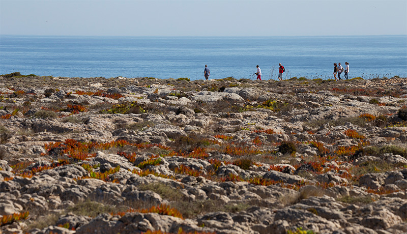 Rotswandelen bij Sagres