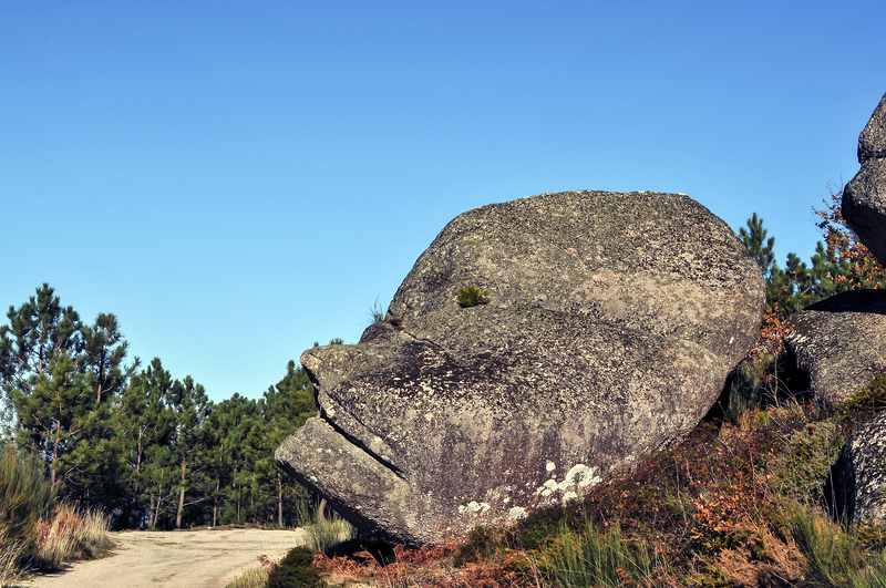 Cabeça da Velha