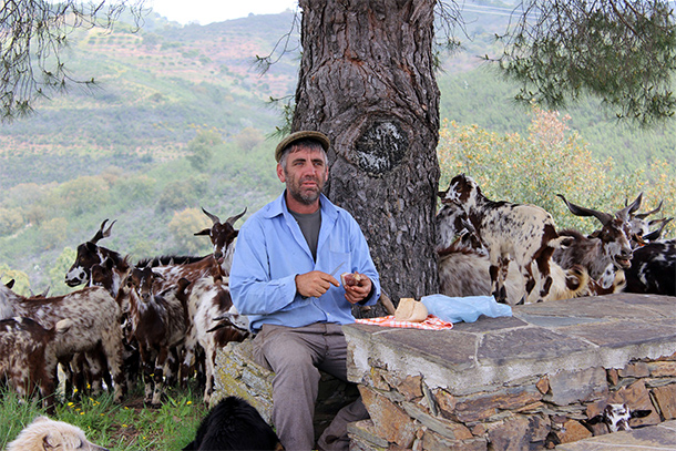 Onthaasten in Portugal, man op het platteland