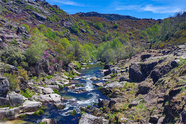 Natuurpark Peneda-Gerês in Portugal