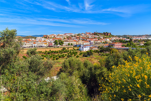 Silves en Serra de Monchique