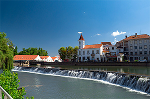 Excursie in Tomar met lokale gids