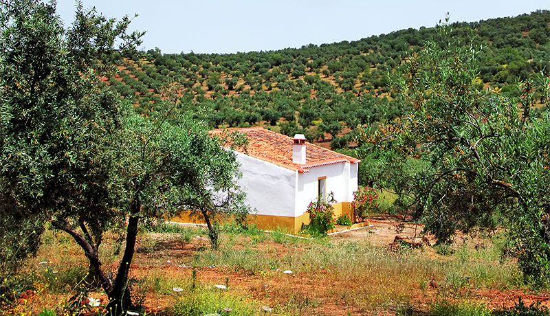 Vakantiehuisje in typisch Portugese stijl