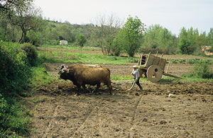 Wandelgebied Trás os Montes