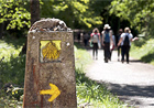 Wandelpad Rota Vicentina