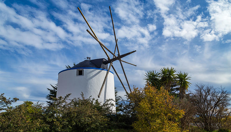 Authentieke windmolen in de wijk Ajuda