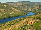Douro-vallei in Portugal